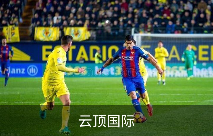 云顶国际概况